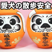 愛犬の1歳の誕生日の記念品：オレンジ