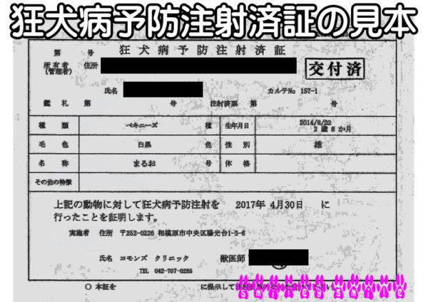 会員登録に必要な物2