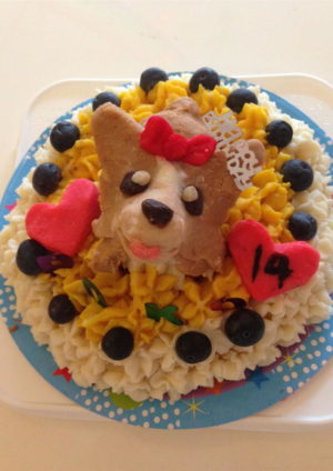 誕生日ケーキのサンプル画像6