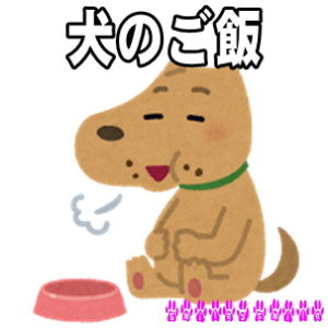 犬用のごはん